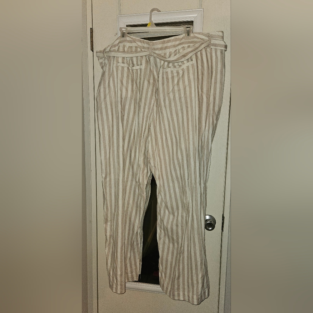 Torrid Pants